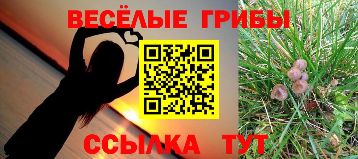 Галлюциногенные грибы Psilocybine cubensis  Псилоцибиновые грибы Psilocybine cubensis  Тайшет  Вход с VPN 